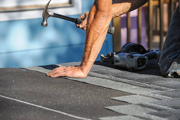 Affordable Storm Damage Roof Repair solutions in Norwood, MN